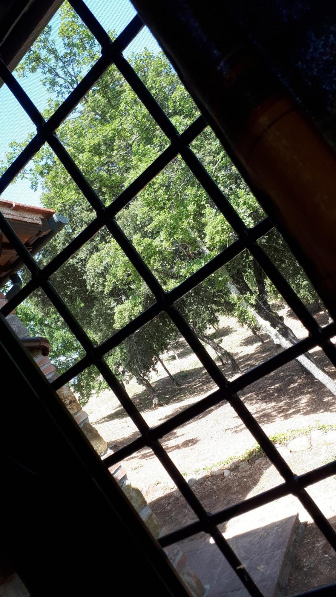 Agriturismo Podere San Lorenzo 1866 มัสซามาริตติมา ภายนอก รูปภาพ