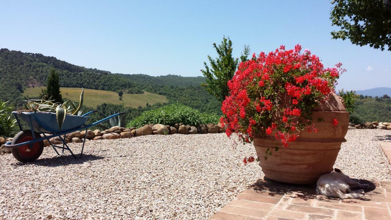 Agriturismo Podere San Lorenzo 1866 มัสซามาริตติมา ภายนอก รูปภาพ