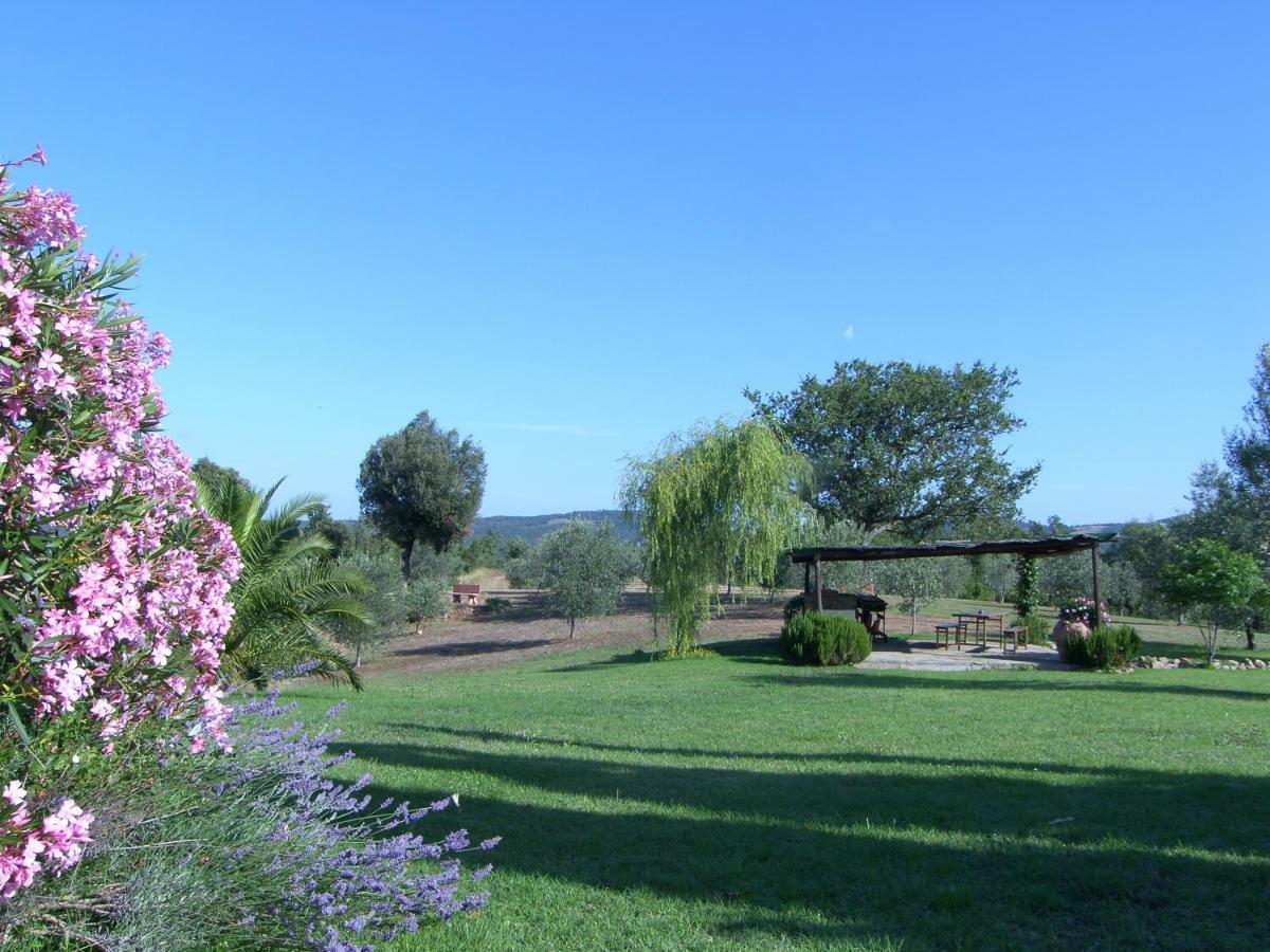 Agriturismo Podere San Lorenzo 1866 มัสซามาริตติมา ภายนอก รูปภาพ