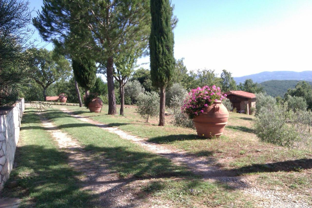 Agriturismo Podere San Lorenzo 1866 มัสซามาริตติมา ภายนอก รูปภาพ