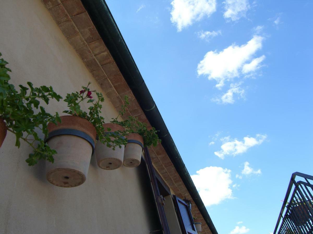 Agriturismo Podere San Lorenzo 1866 มัสซามาริตติมา ภายนอก รูปภาพ
