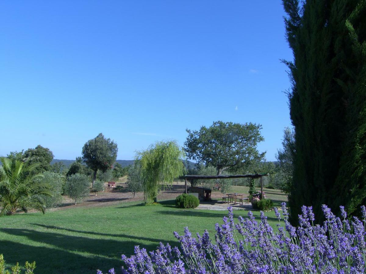 Agriturismo Podere San Lorenzo 1866 มัสซามาริตติมา ภายนอก รูปภาพ